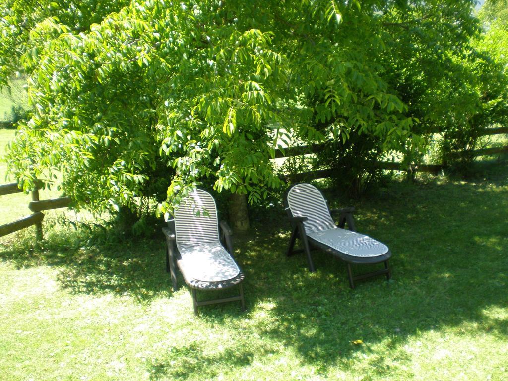 Hotel Vina Olivan Sarvisé 외부 사진